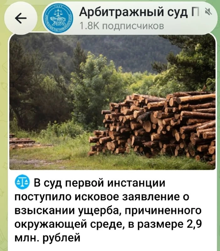 🌳 Суд отклонил иск к РЖД на 3 млн, ЛЭП вынесут из леса