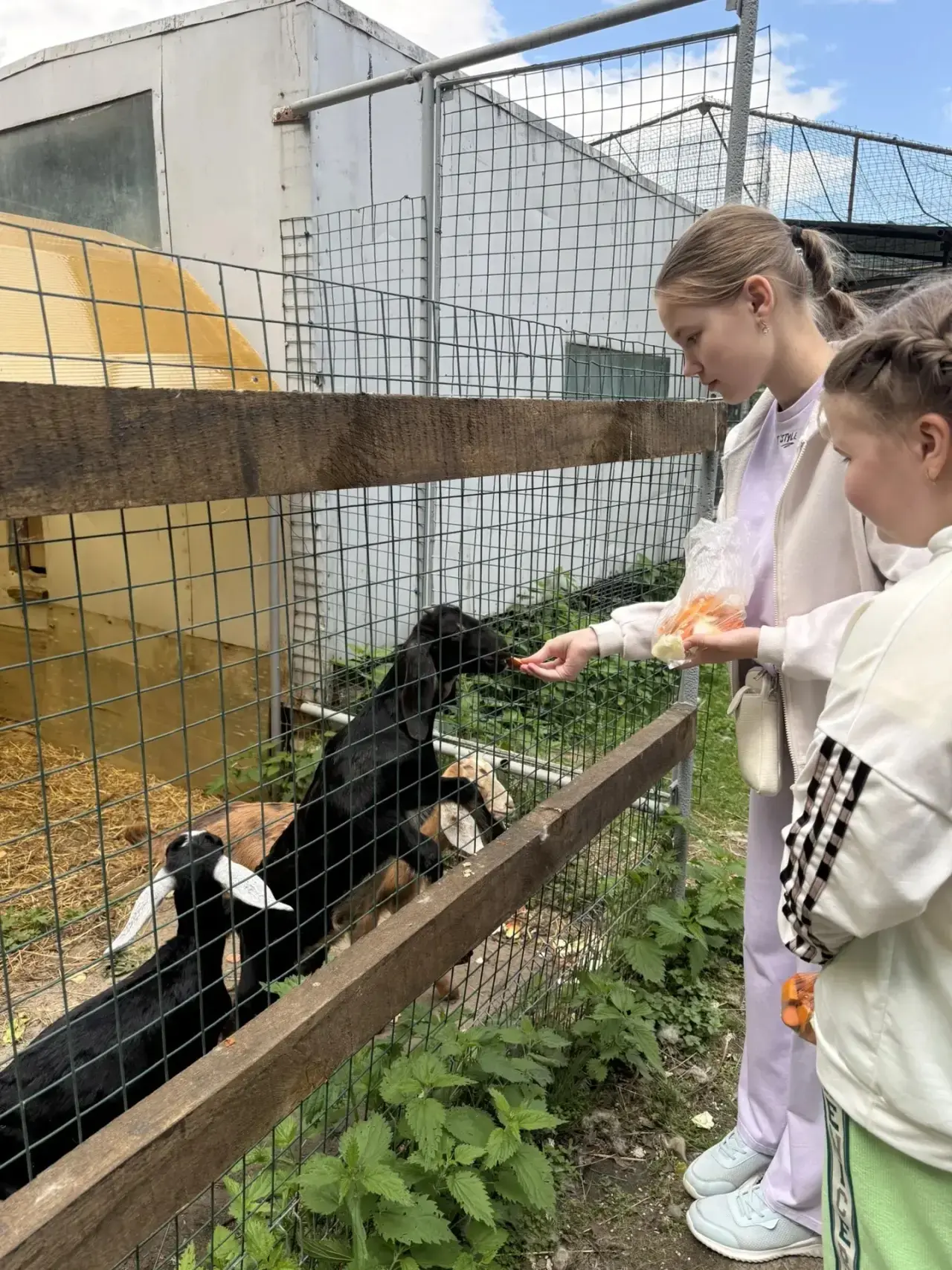 Сегодня ученики 6г и 5д классов, их классные руководители Аджиумерова С.А., Куркина Л.Г. посетили зо