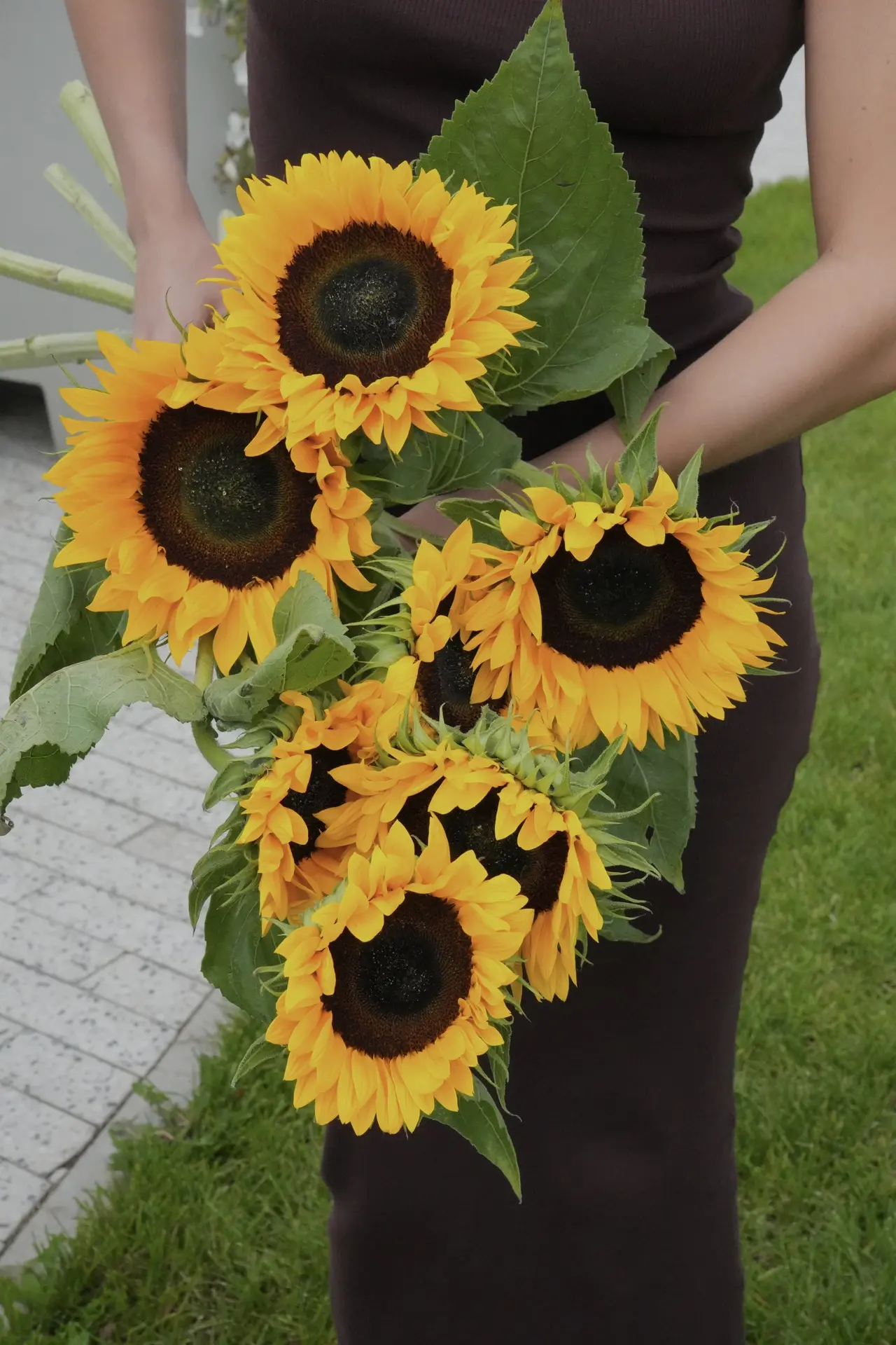 🌻 Подсолнухи — это всегда хорошая идея