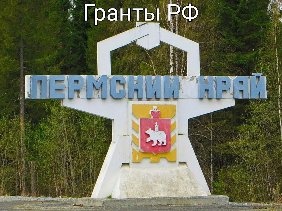 От кого: Фонд грантов губернатора Пермского края