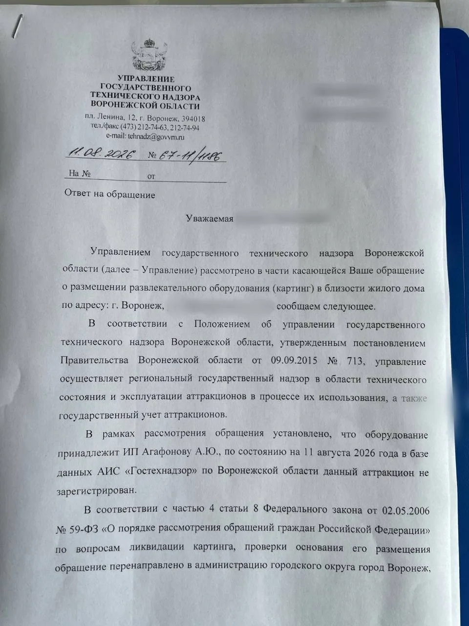 🚘 Воронежцы пожаловались на незаконный картинг в парке «Дельфин»