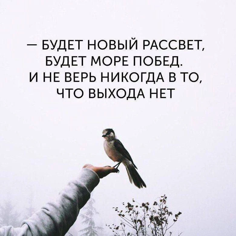 ☀️ Доброго субботнего утра!

Пусть этот день начнётся с мира в душе, ясных мыслей и тихой благодарно