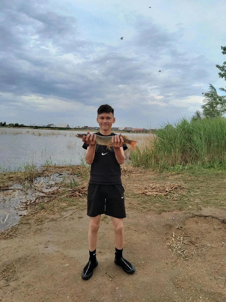 Для розыгрыша #15

Поймал на озере лягушатник г. Ясный, щука примерно кг, рыба была отпущена, поймал