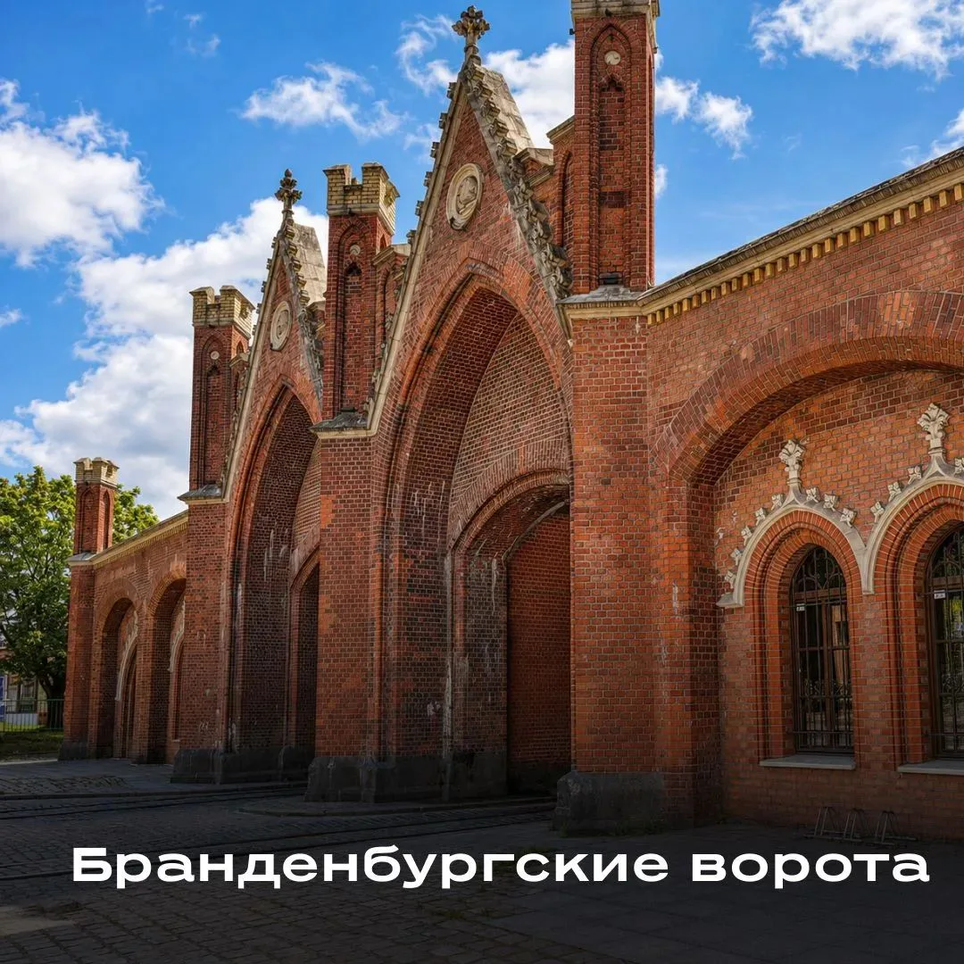 Калининградская область в девяти кадрах 💙