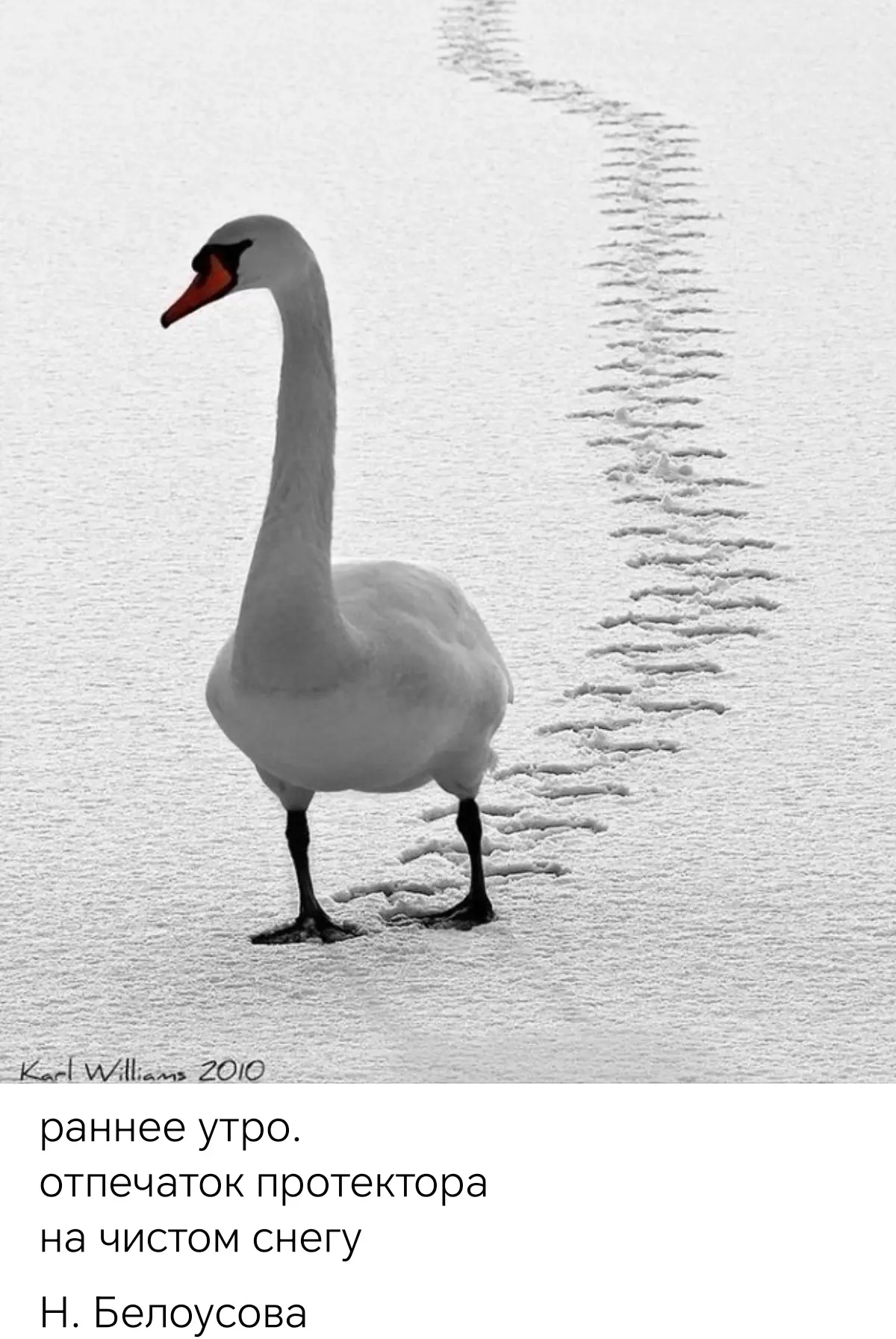 Фото