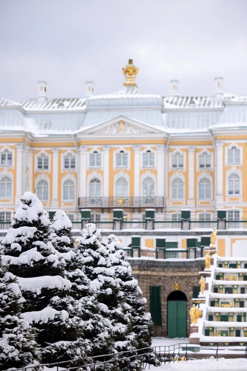 Зима в Нижнем парке ❄️  #петергоф_подборка