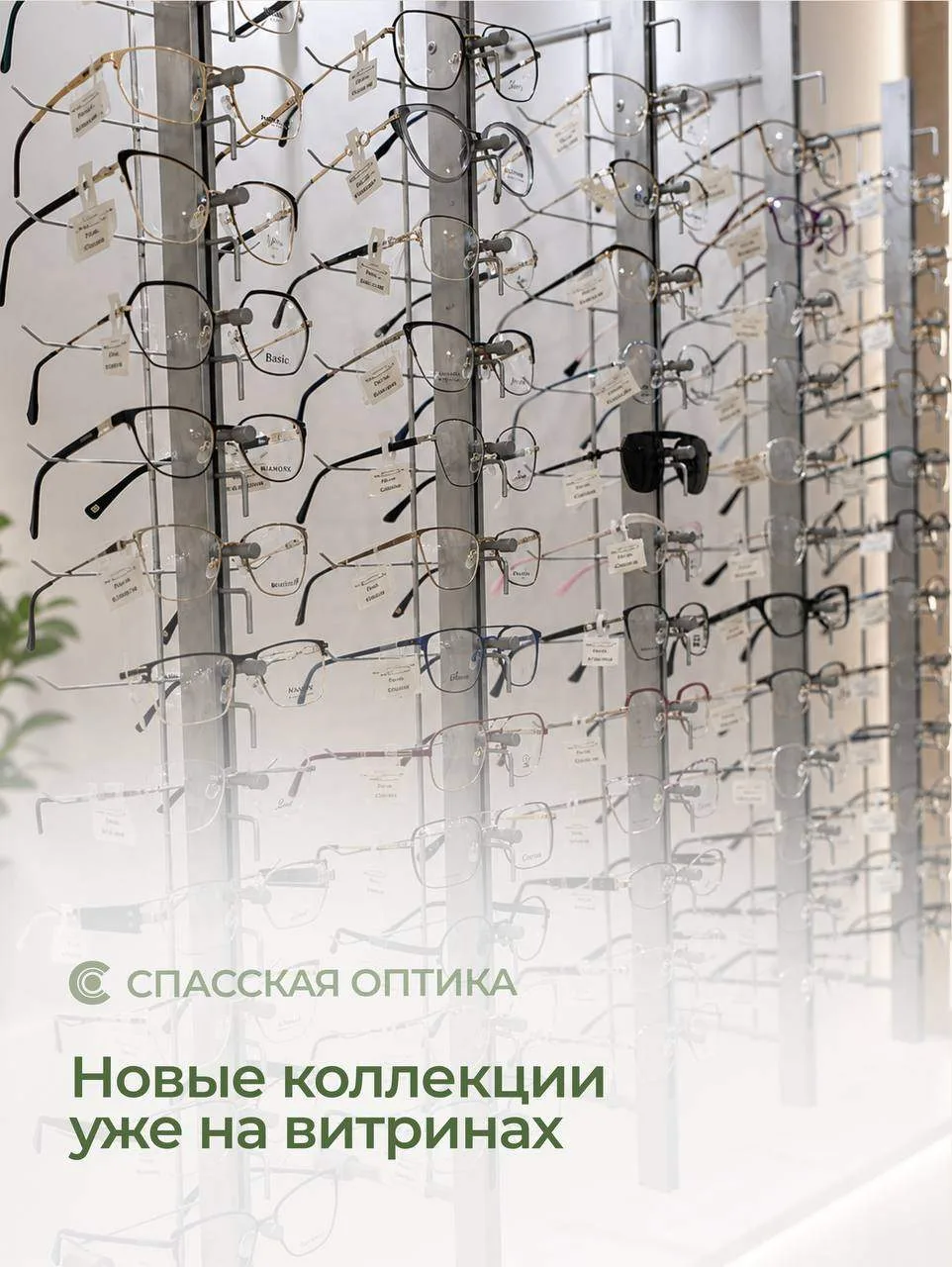 В салоне «Спасская оптика» в Лесозаводске — большое обновление ассортимента 👓   По адресу: 📍 г. Лесо