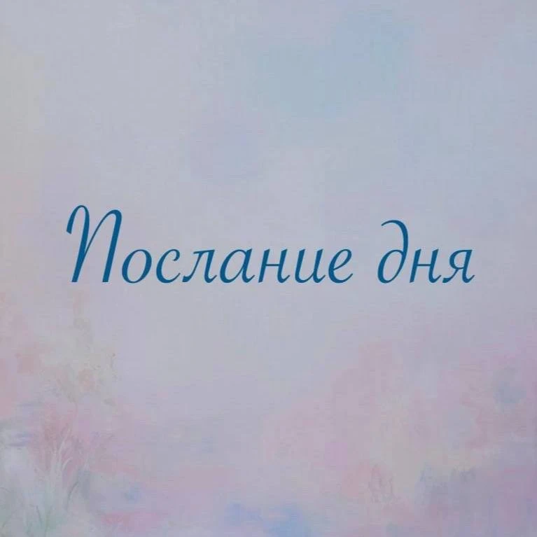 ✨