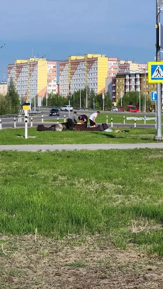 🌼 Город преображается! 🌼

Идёт активная подготовка к озеленению: уже устанавливают более 800 вазон