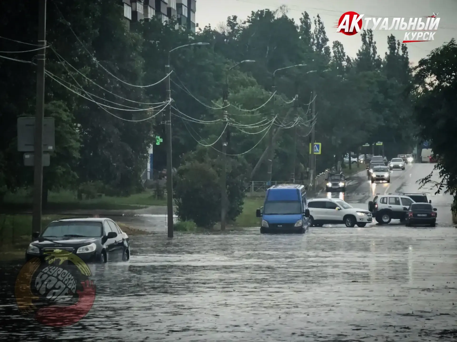 ЖД округ затопило после дождя

☑️ Актуальный Курск
💬 Предложить новость