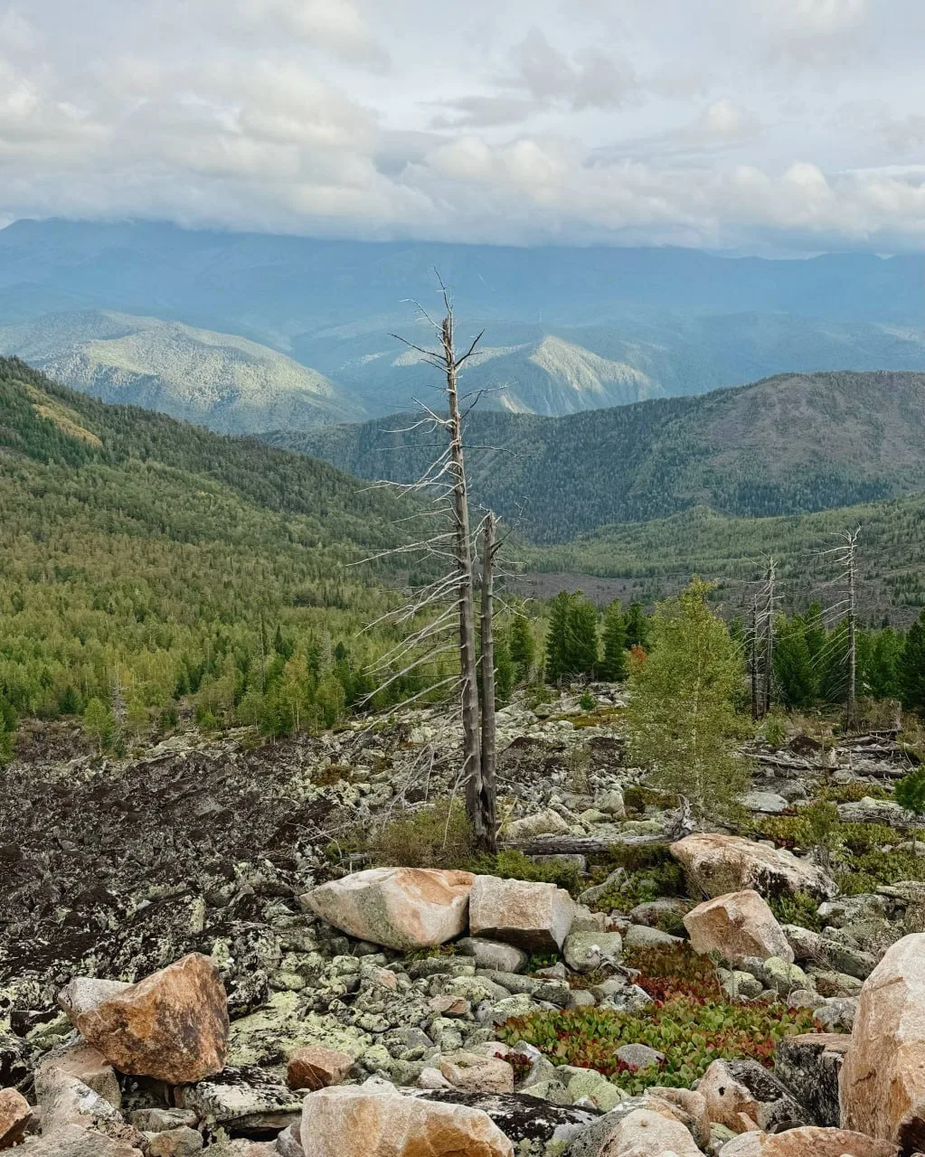 Захватывающий вид открывается с горы Гладенькая ⛰️