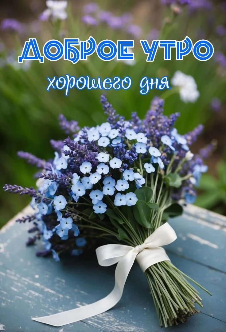 #доброеутро
