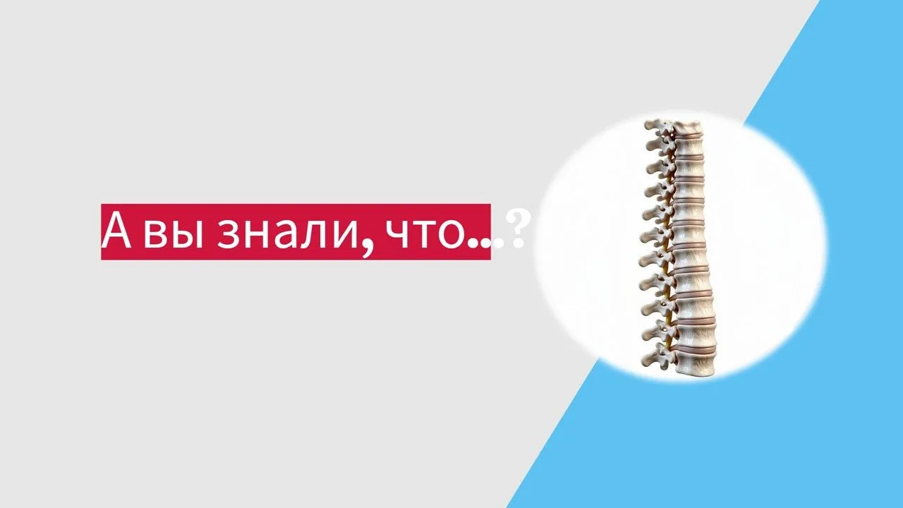 🌀 А вы знали, что каждое утро вы выше на 1–2 сантиметра, чем вечером?