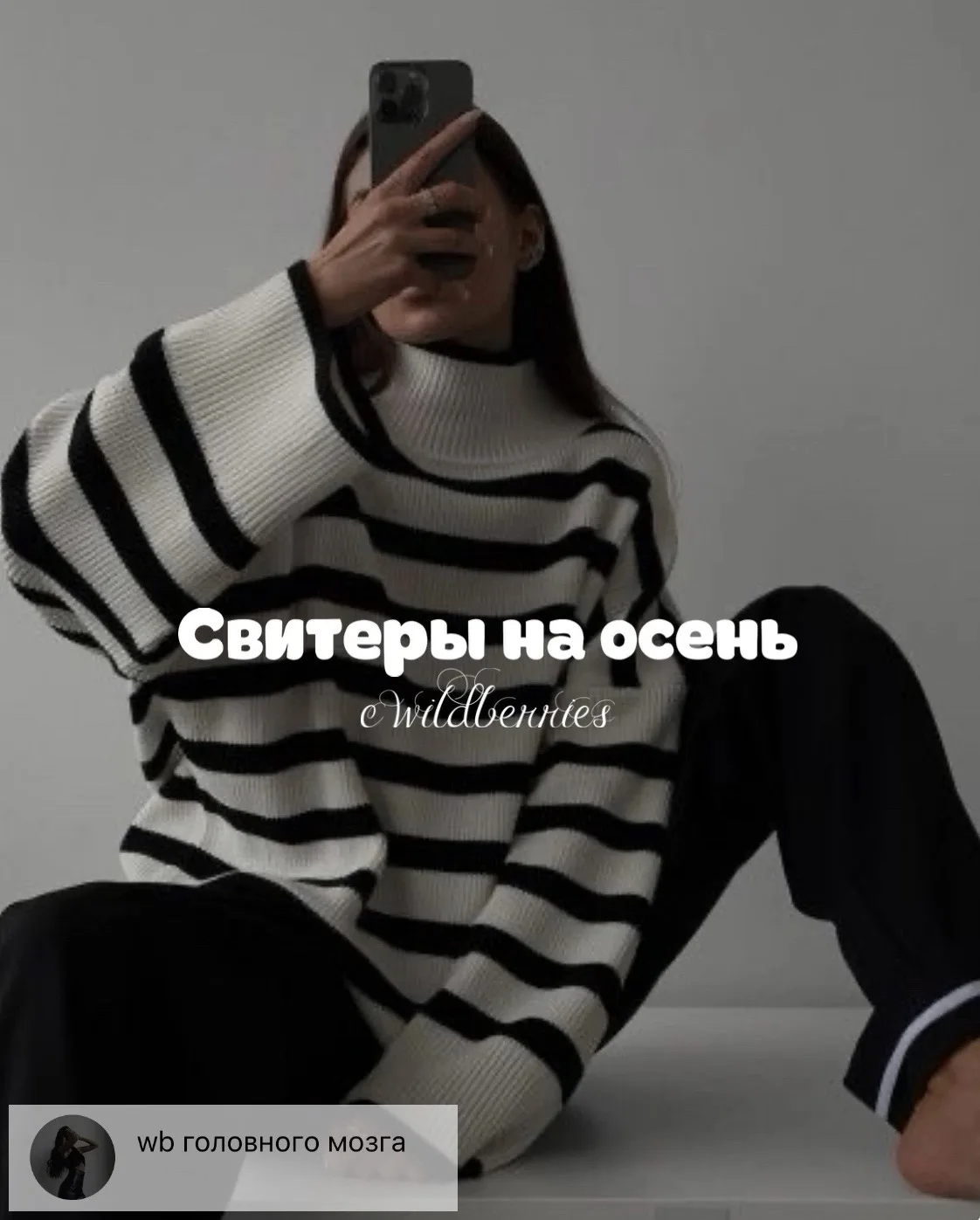 Свитеры с WB