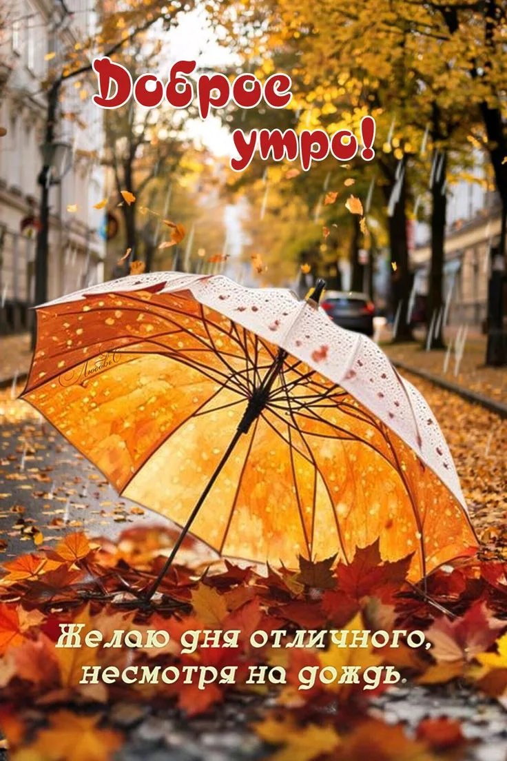 🍂🍂🍂