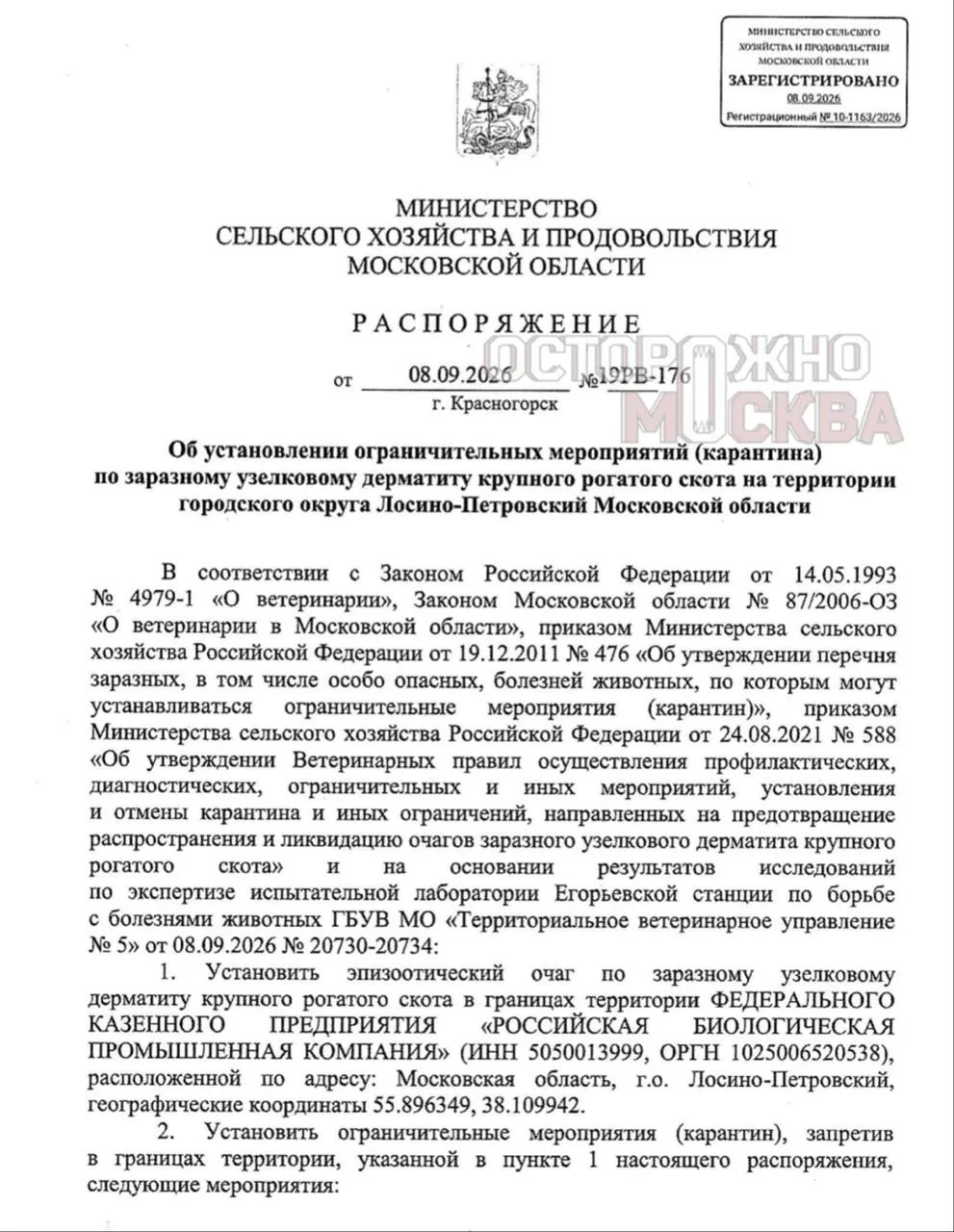 🦠 В Подмосковье объявили карантин по заразному узелковому дерматиту крупного рогатого ...