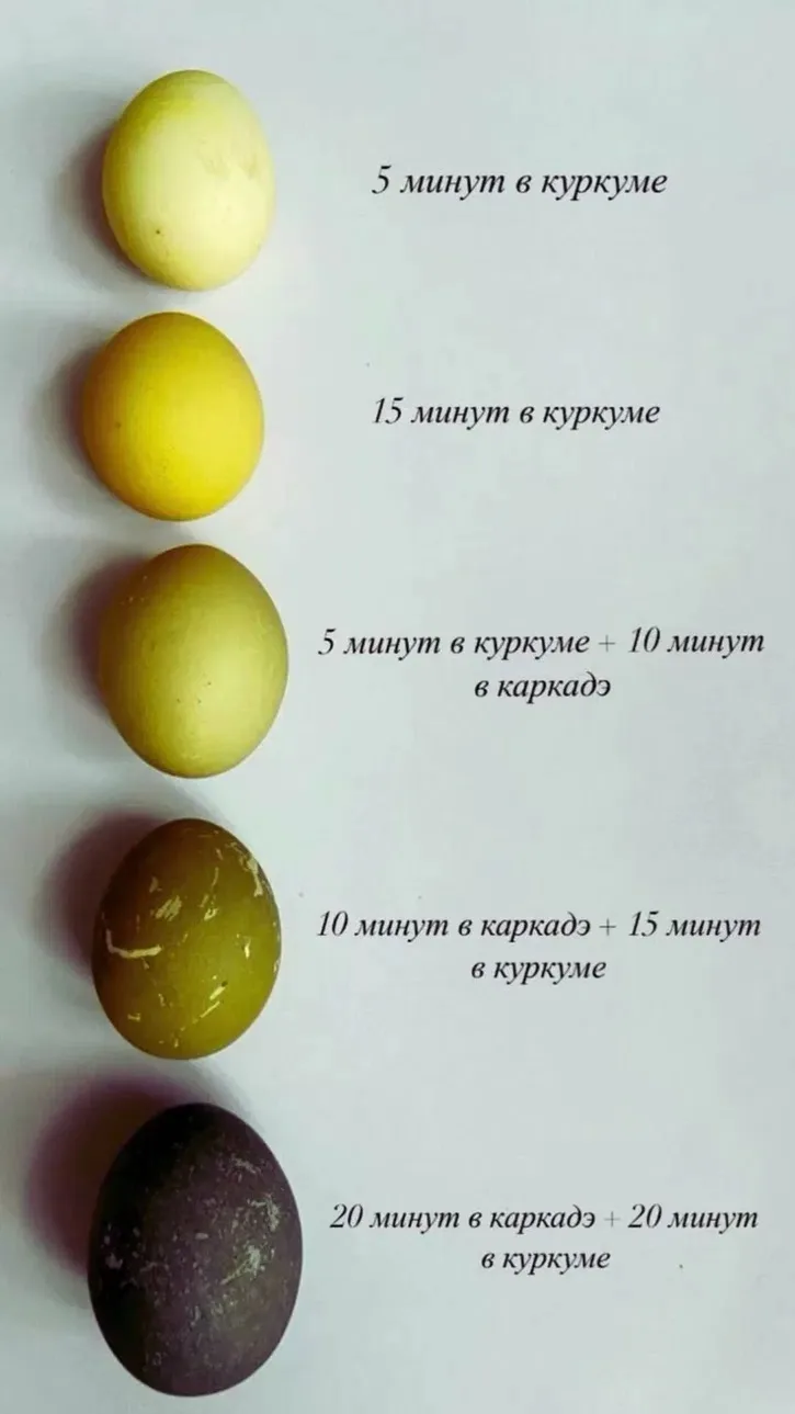 Шпаргалка по покраске яиц   Я вот каждый год себе такие сохраняю, но в итоге всегда классика, в луко