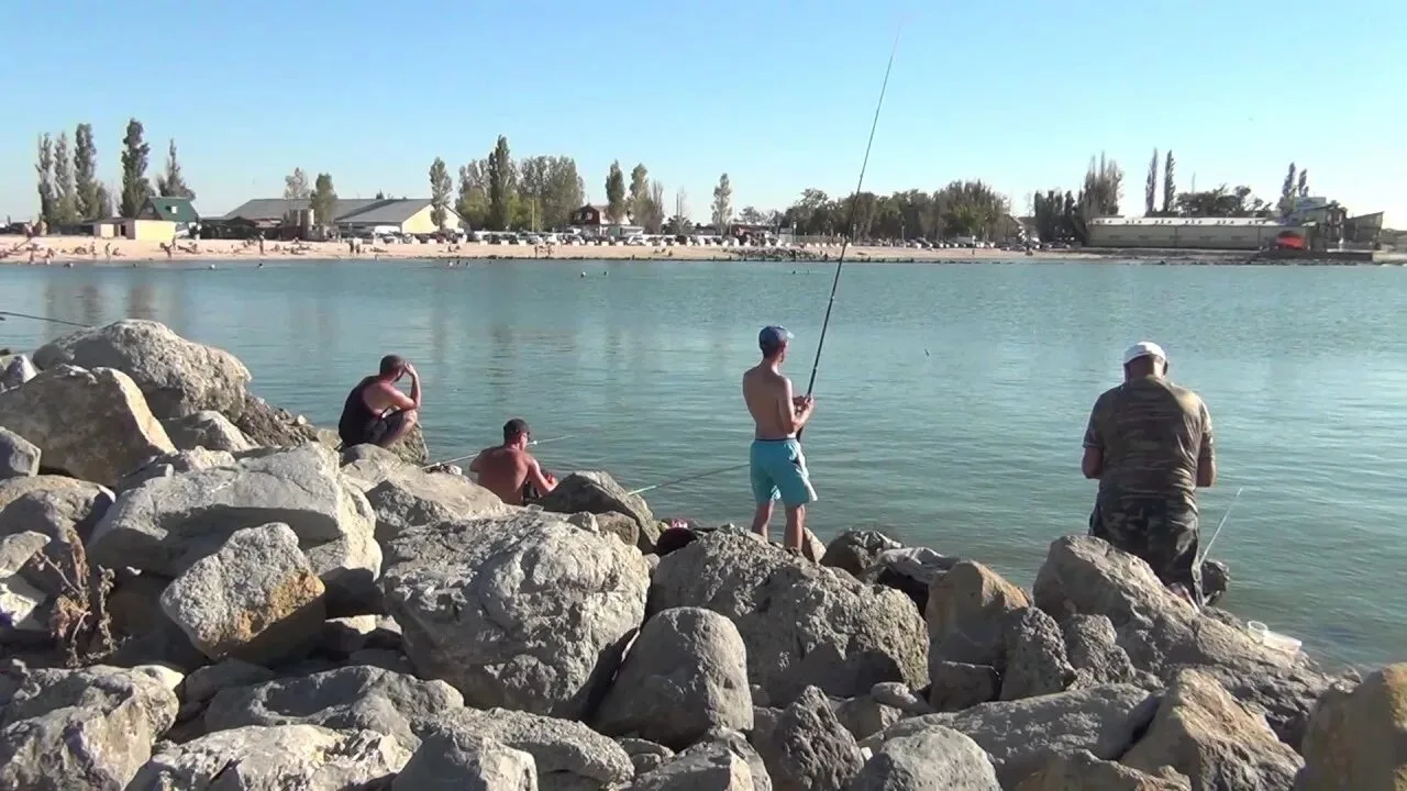 В Азовском море из-за замора рыбы разрешили ловить бычка. С 27 июля в Азовском море, вк...