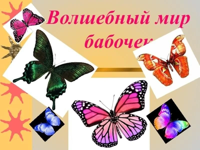 «Лаборатория чудес»: жизнь лагеря. 18 июня — день новых открытий!

18 июня в пришкольном лагере «Лаб