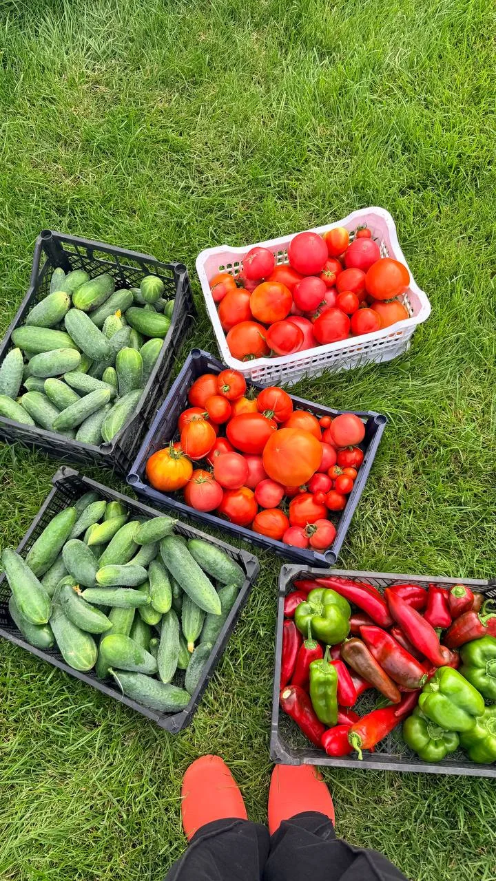 🍅«Где ты пропадала?»