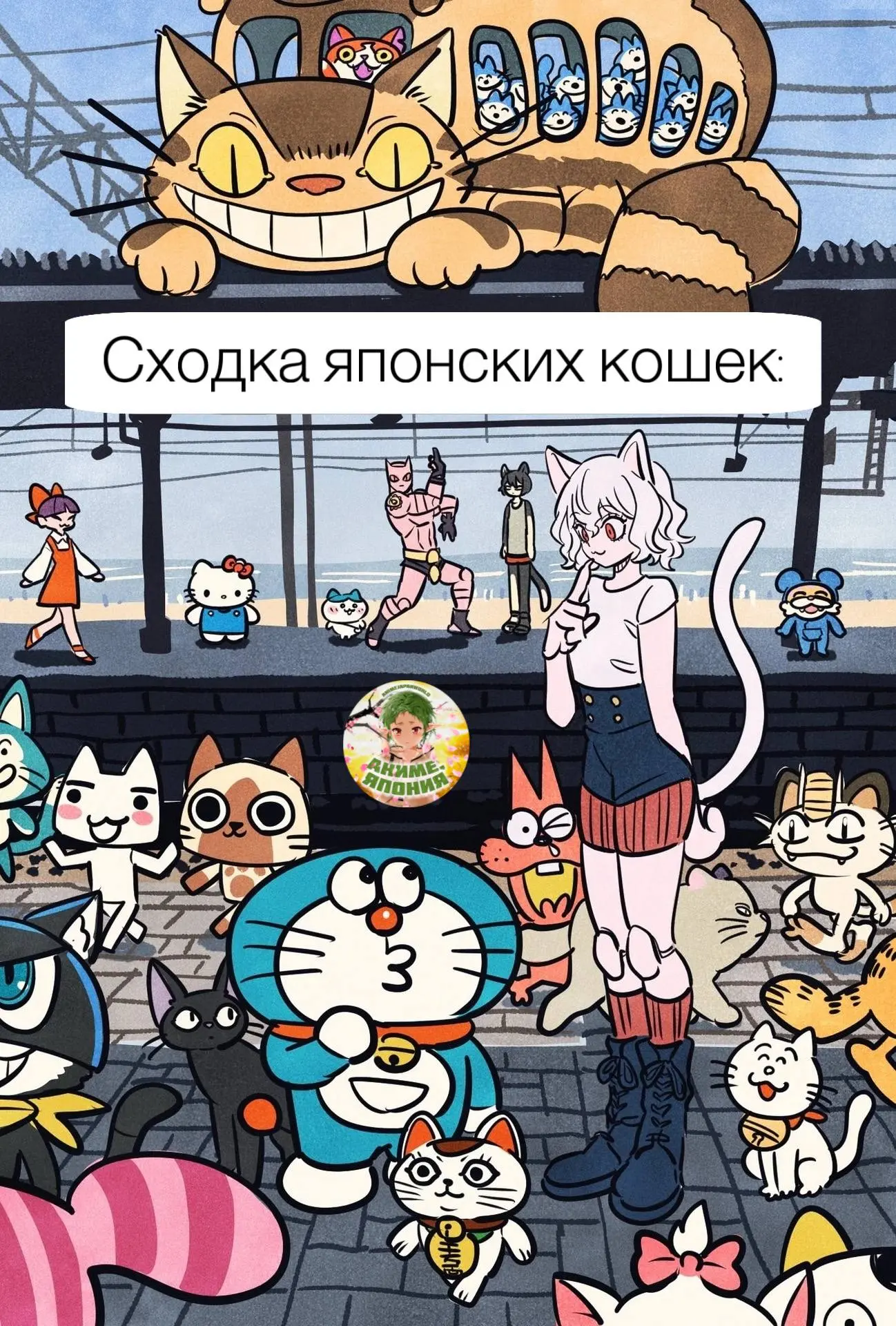 • Сколько котиков насчитали?