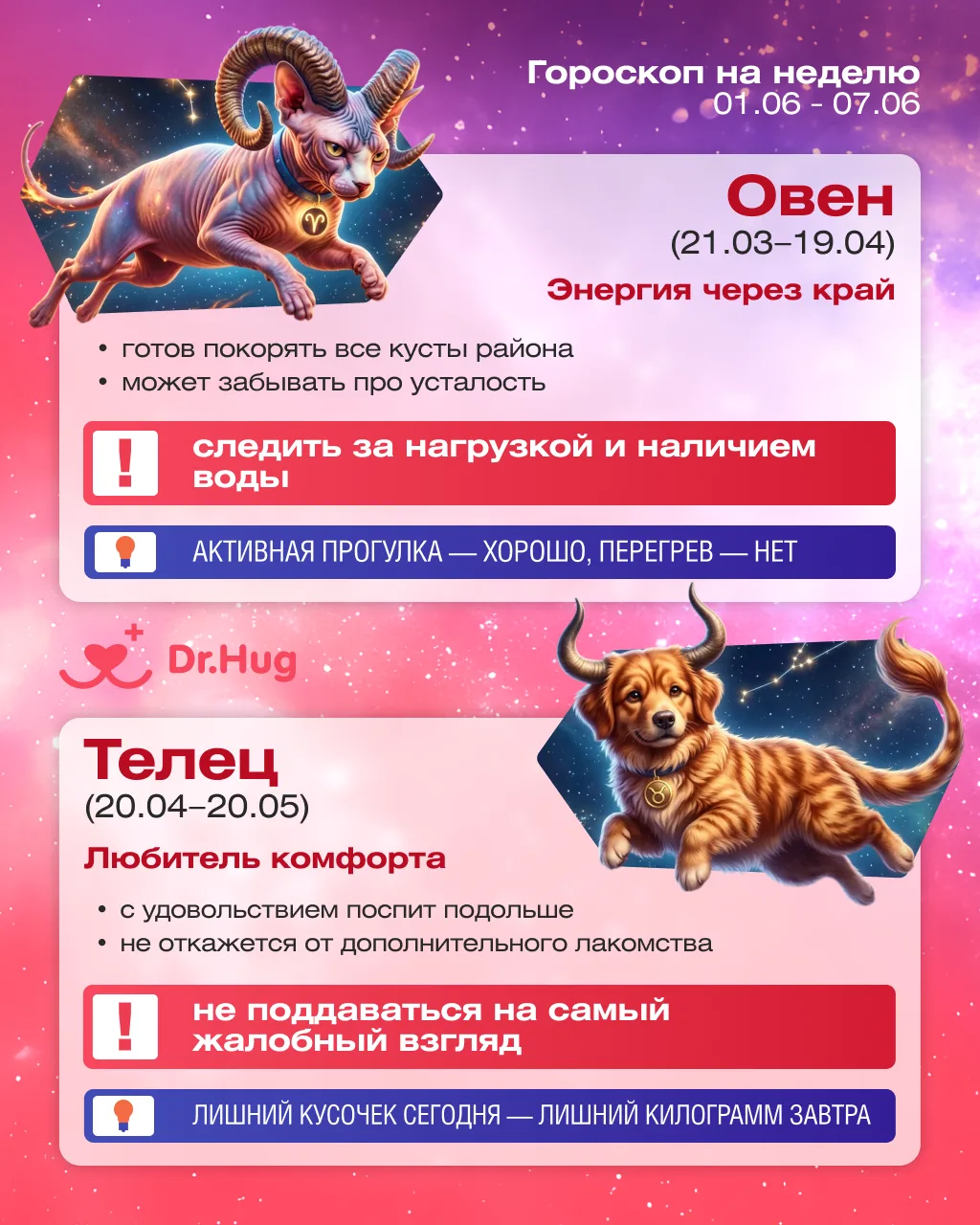 🔮 Гороскоп для хвостиков на неделю 01.06 - 07.06 🔮