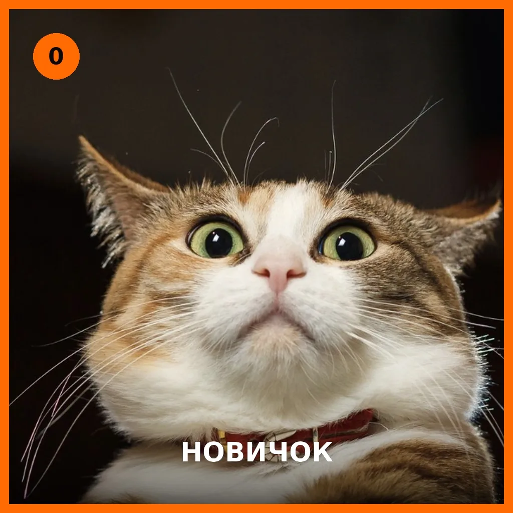 Ой, ой, мы такое придумали 😁