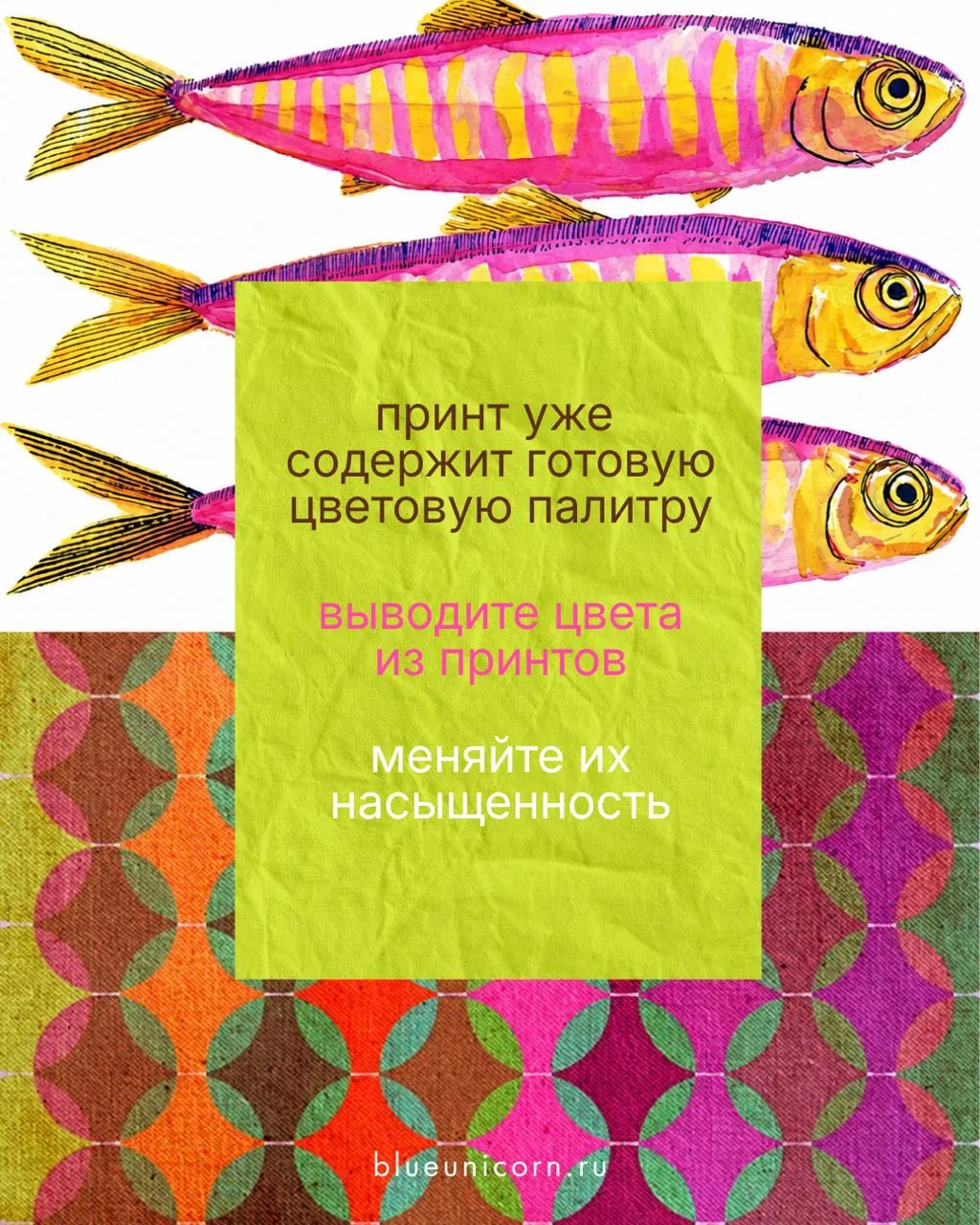Изображение 10 к публикации «Blue Unicorn»