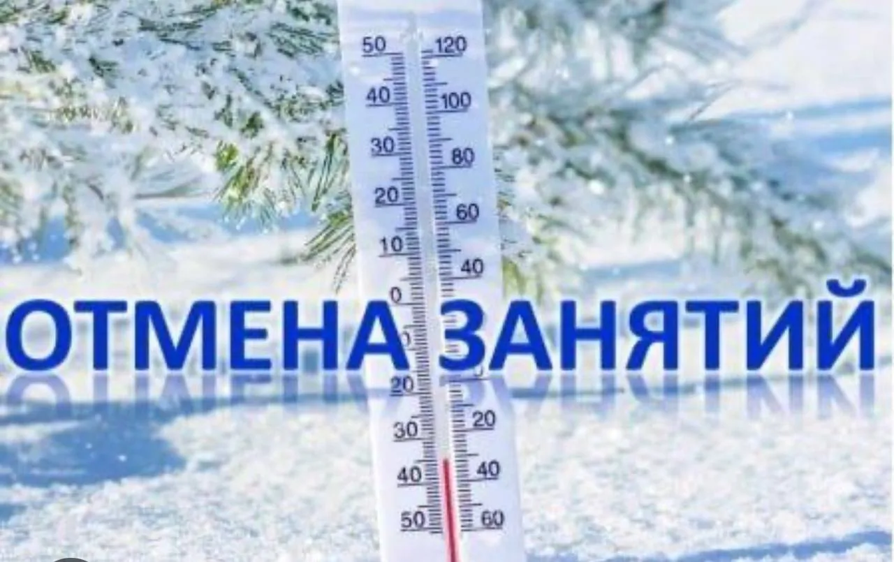 Отмена занятий с 1 по 11 классы