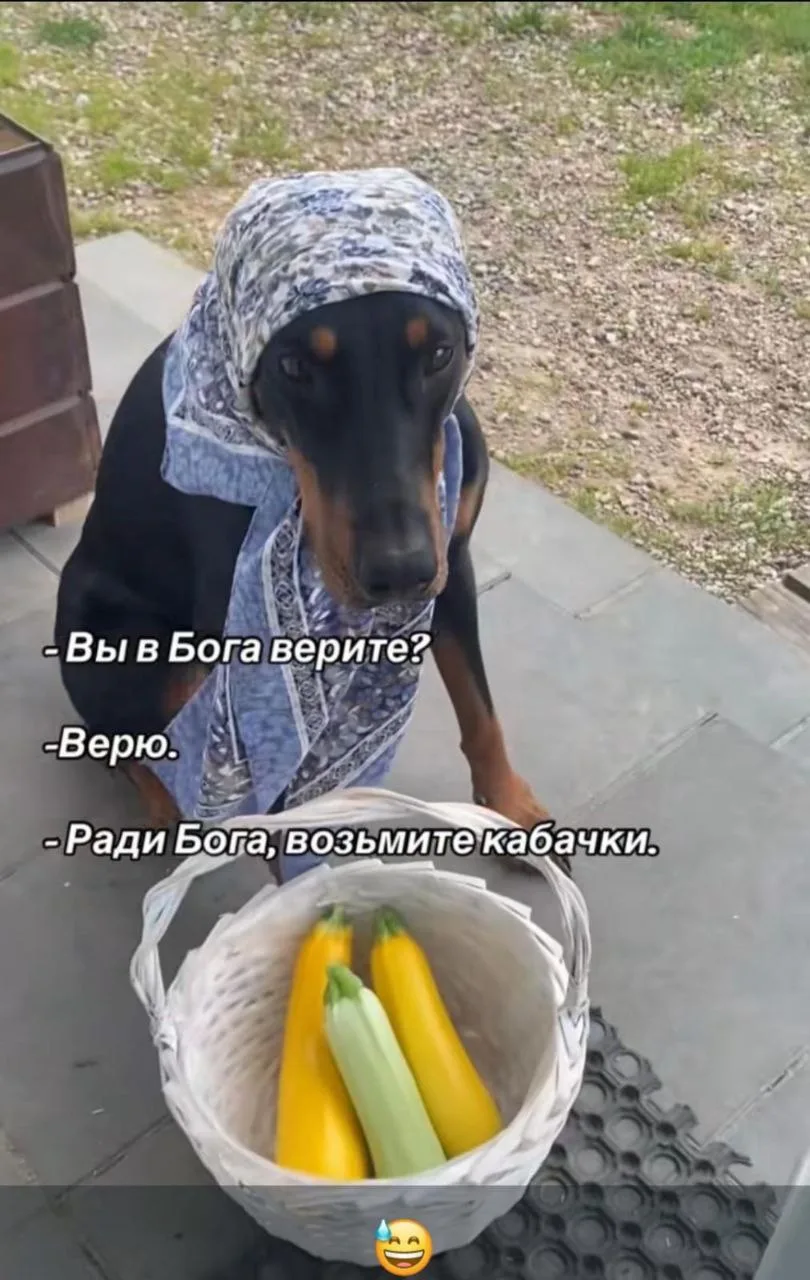 Женский юмор - Подписаться