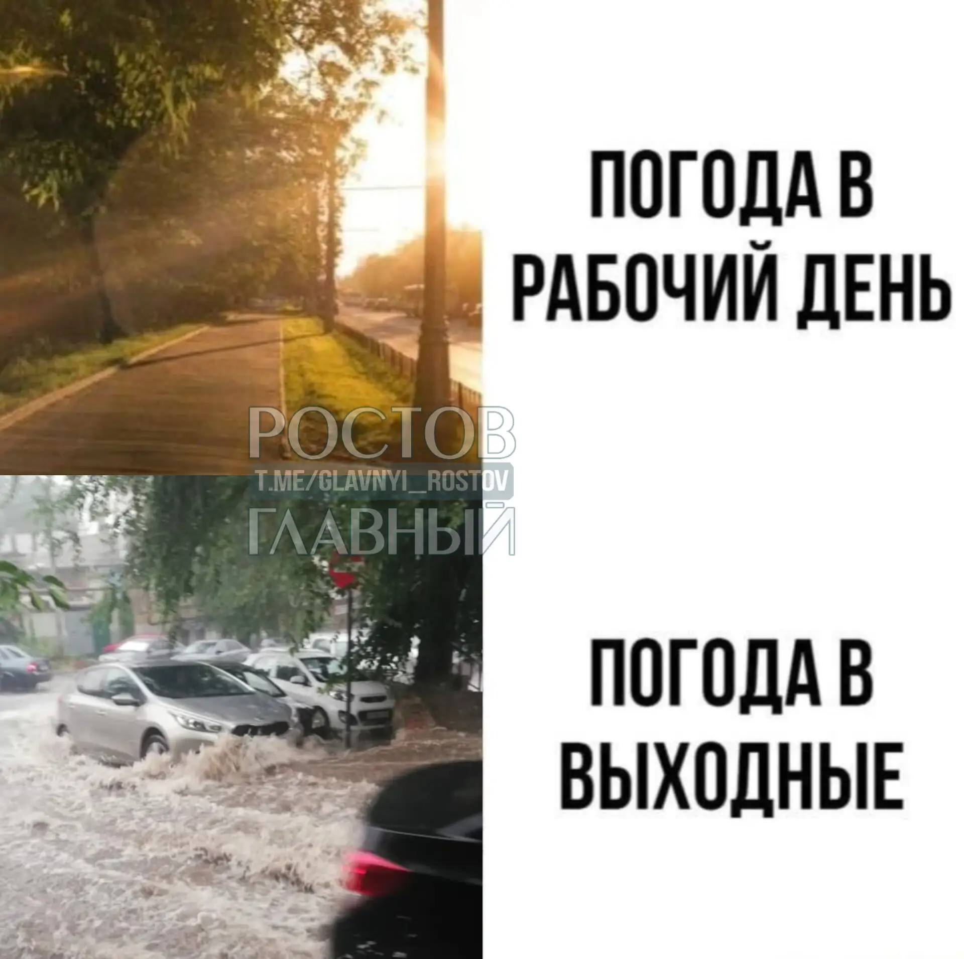 🌧 Дожди накроют Ростовскую область на грядущих выходных.

В субботу, 20 июня, дожди пройдут по югу 