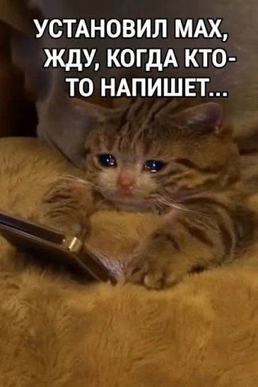 Изображение 1 к публикации «Comedy Radio»