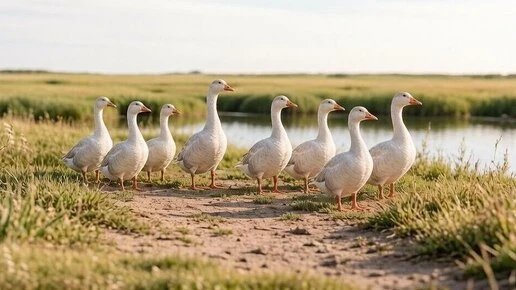 Шофёр из Курской области заплатил 50 рублей за оскорбление соседки в 1972 году