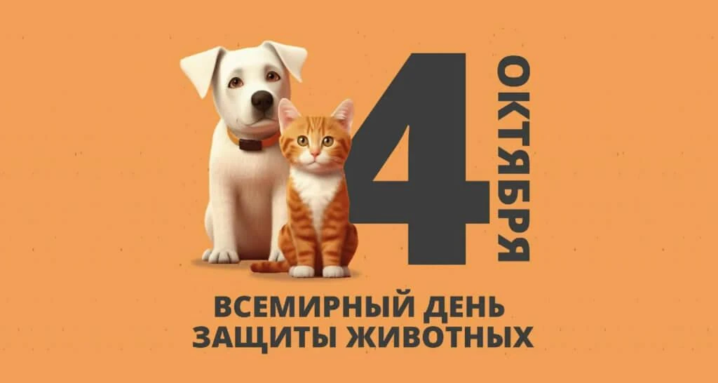 А мы напоминаем, что завтра завершается акция по сбору кормов, круп и средств для ухода...