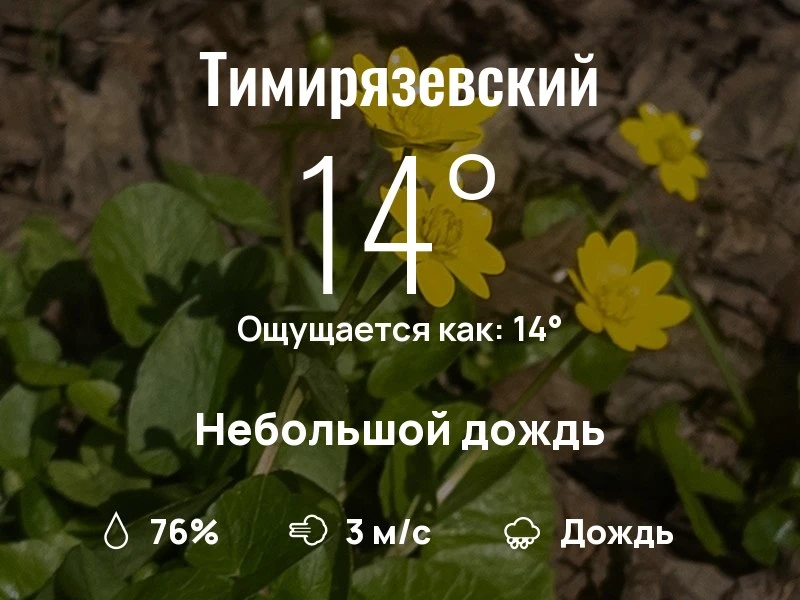 Что с погодой в Тимирязевском?