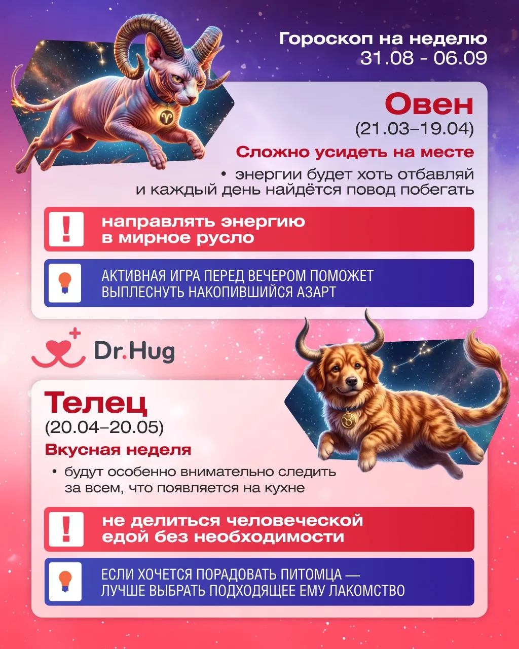 🔮 Гороскоп для хвостиков на неделю 31.08 – 06.09 🔮