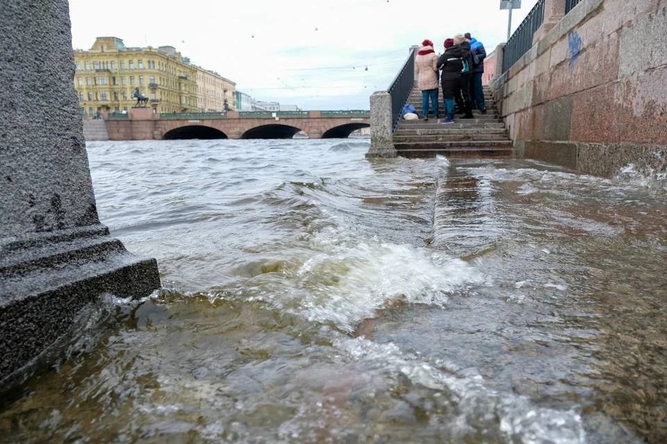 ⛈️Дожди и сильный ветер с порывами до 20 м/с накроют завтра Питер, — синоптики.
