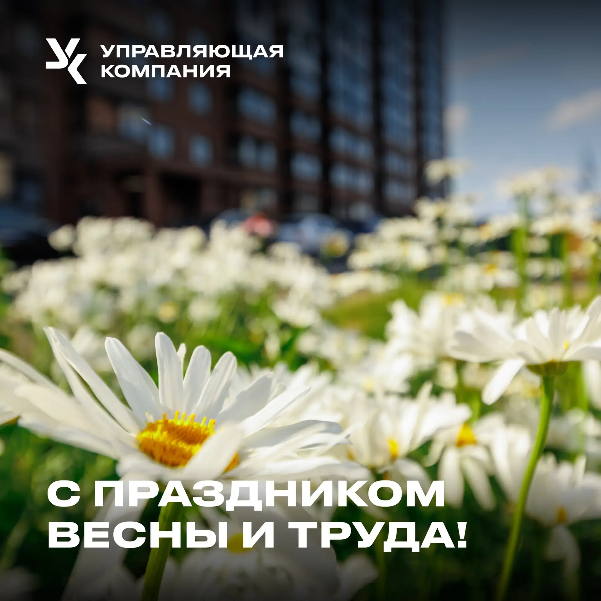 Друзья, поздравляем вас с 1 Мая! 🌷
