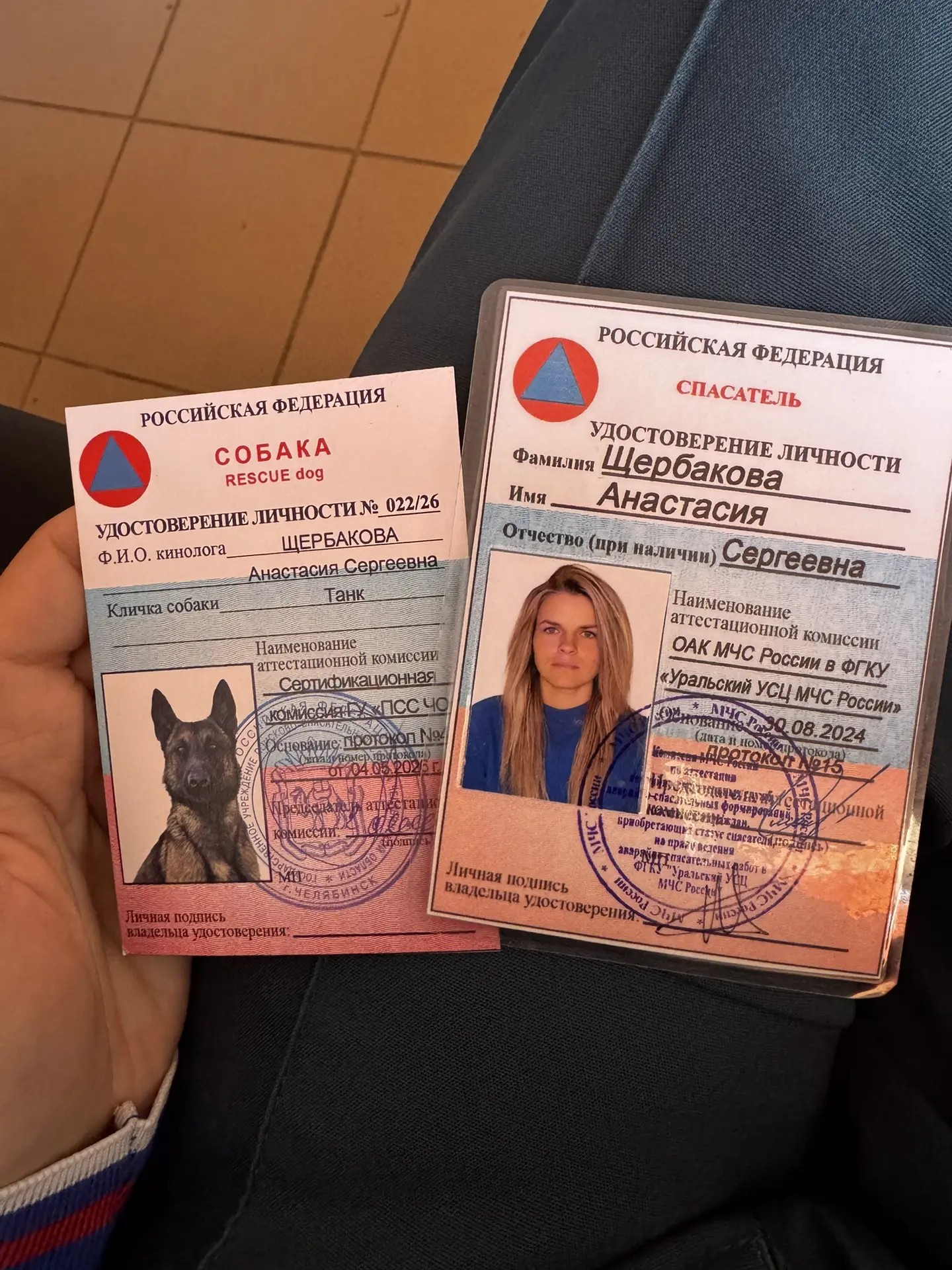 Наши с Танком карточки спасателей