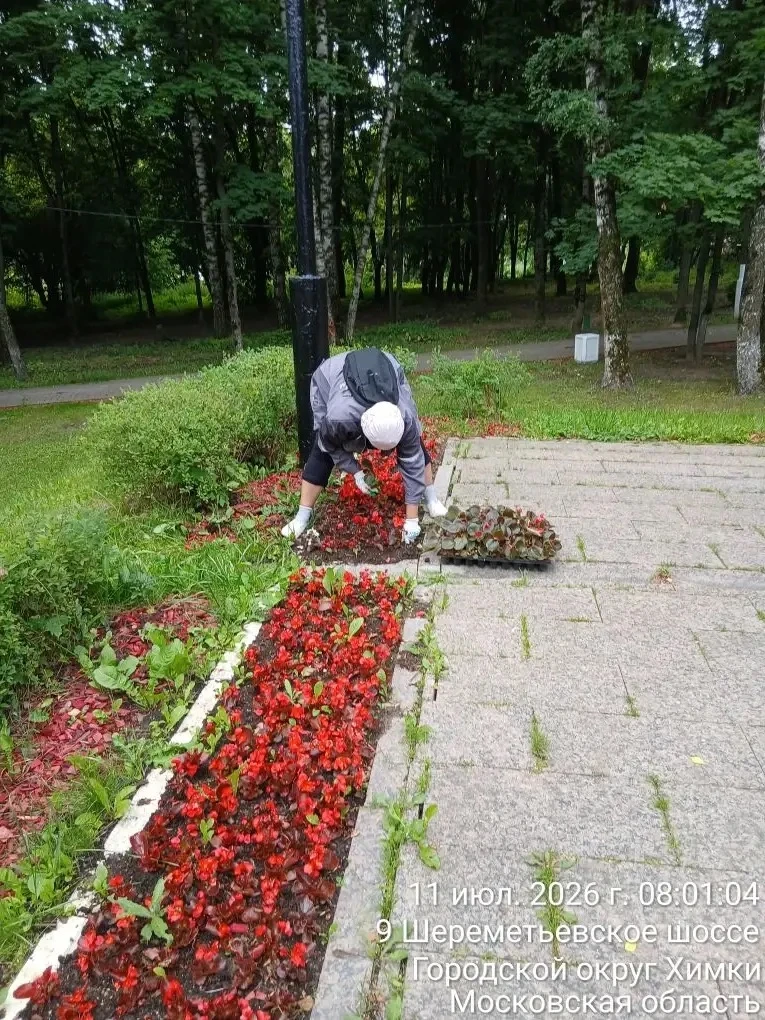 🌺Цветов по округу не мало,