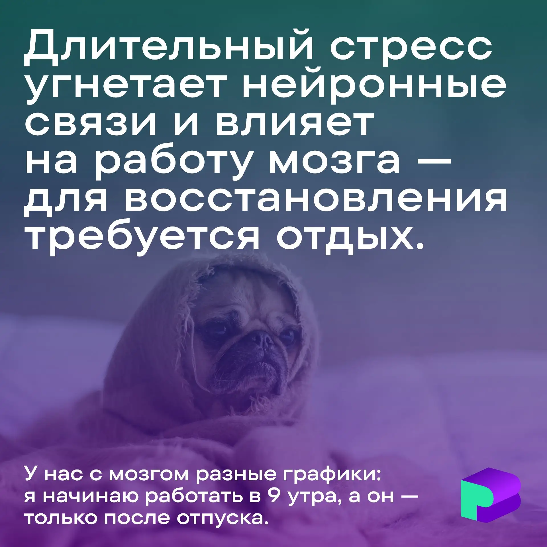 Ставьте 💔, если мозг и график работы уже давно в рассинхроне.