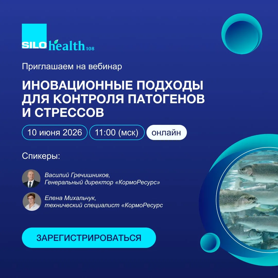 Каждый сезон — одни и те же угрозы?
 
Бактериальные инфекции. Тепловой стресс. Потери молодняка. Рис