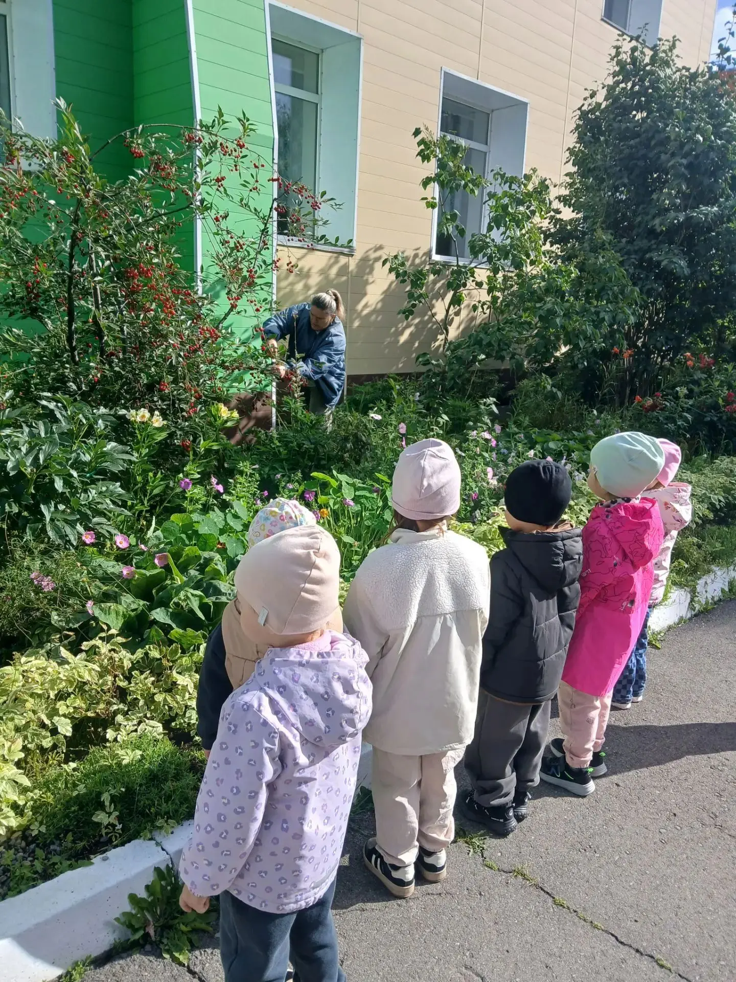 🍒 Чудо-ягода в нашем саду!