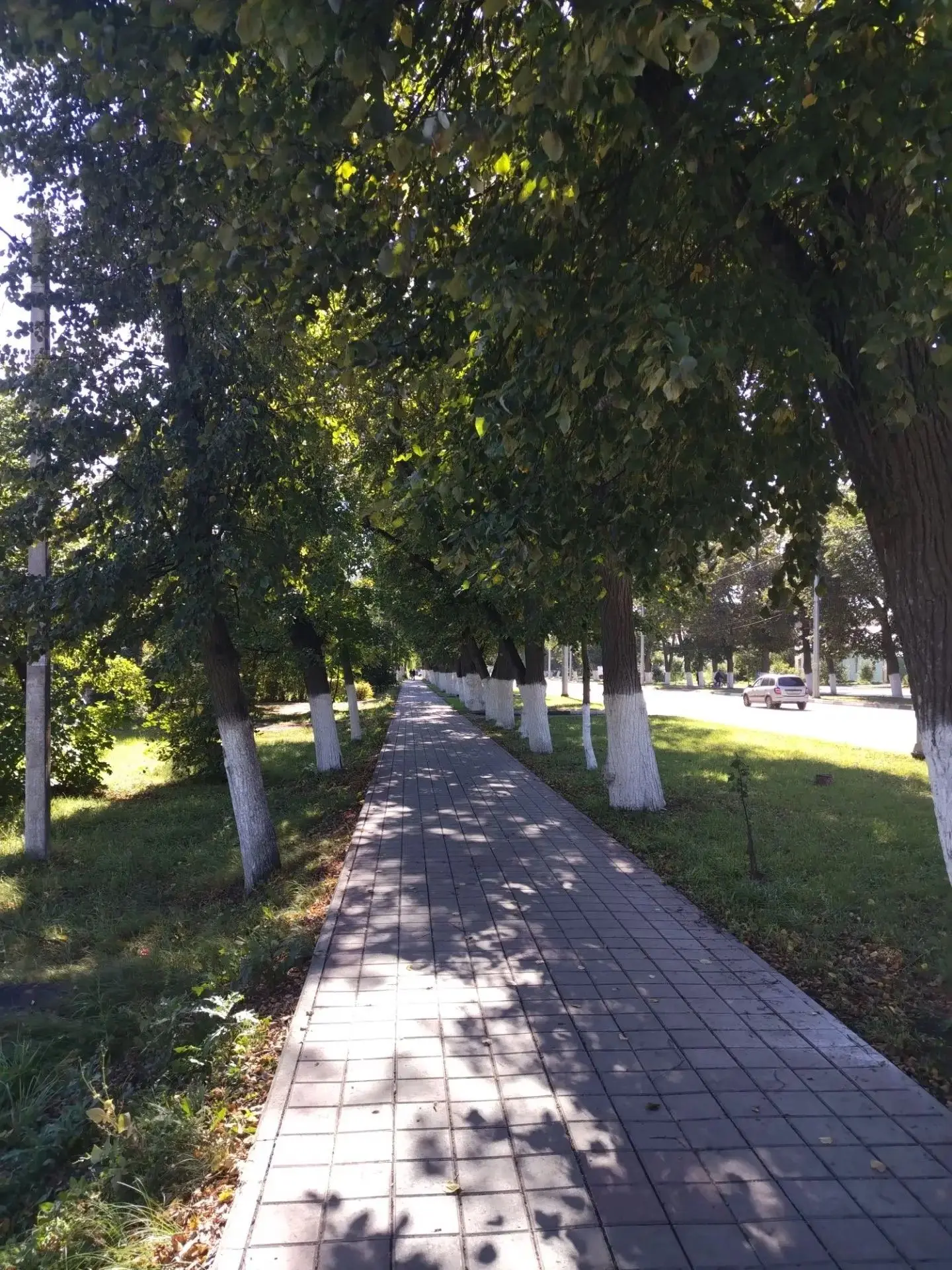 Доброе утро!