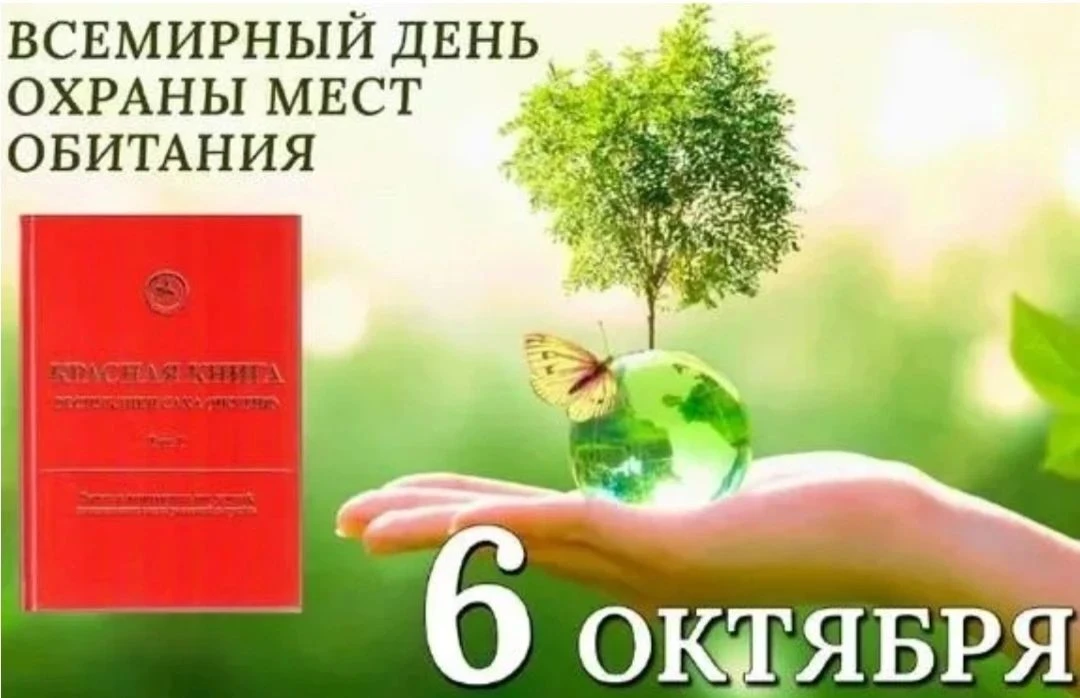 🌿 6 октября — Всемирный день охраны мест обитаний
