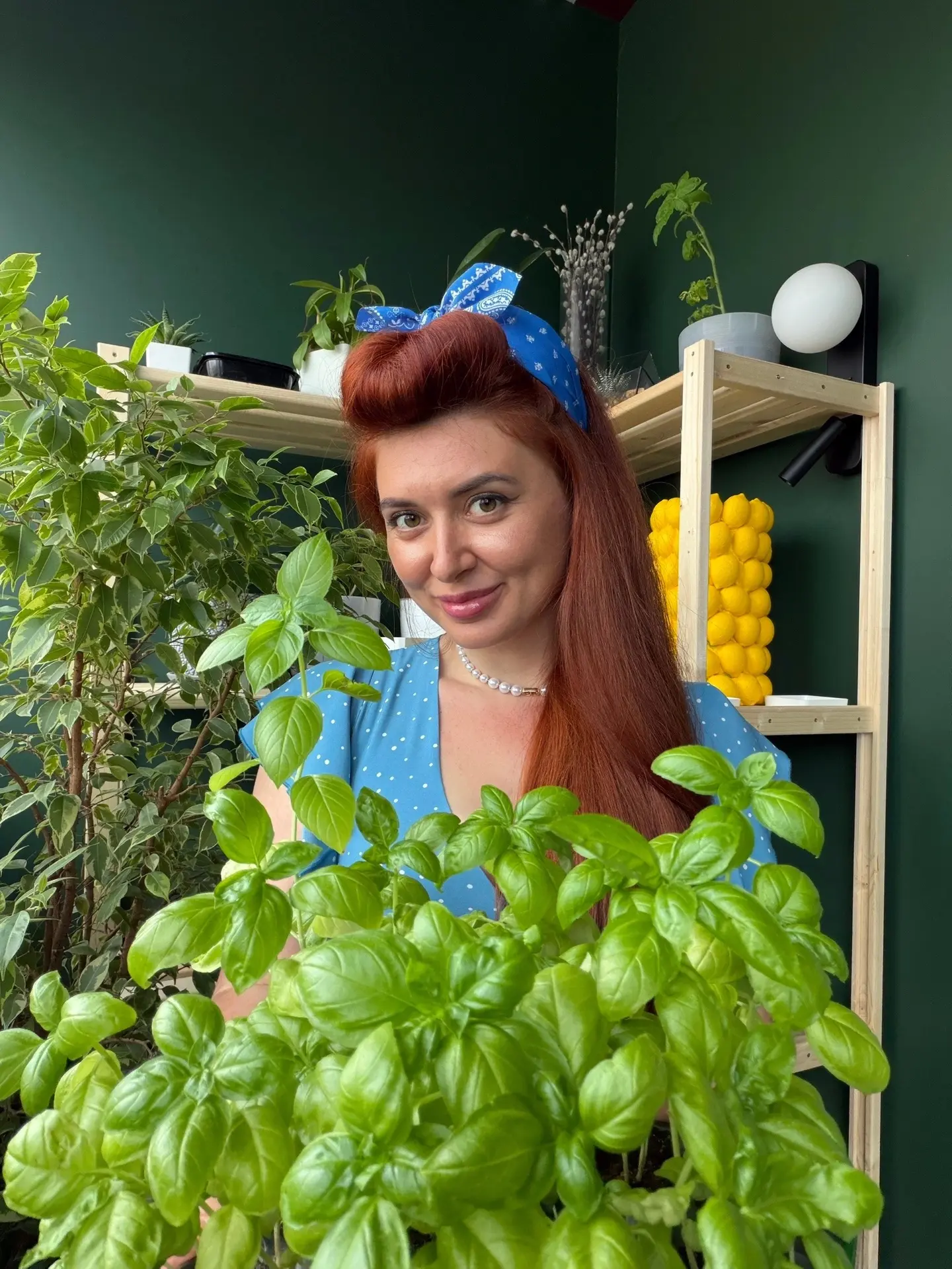 На что я рассчитывала, когда сажала БАЗИЛИК на балконе?
Да, собственно, особо ни на что.
Я думала, о