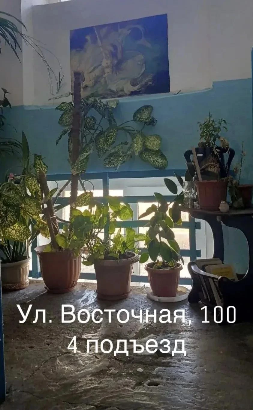 🗳️ Два поронайских подъезда определили для голосования за самый "Образцовый подъезд"
