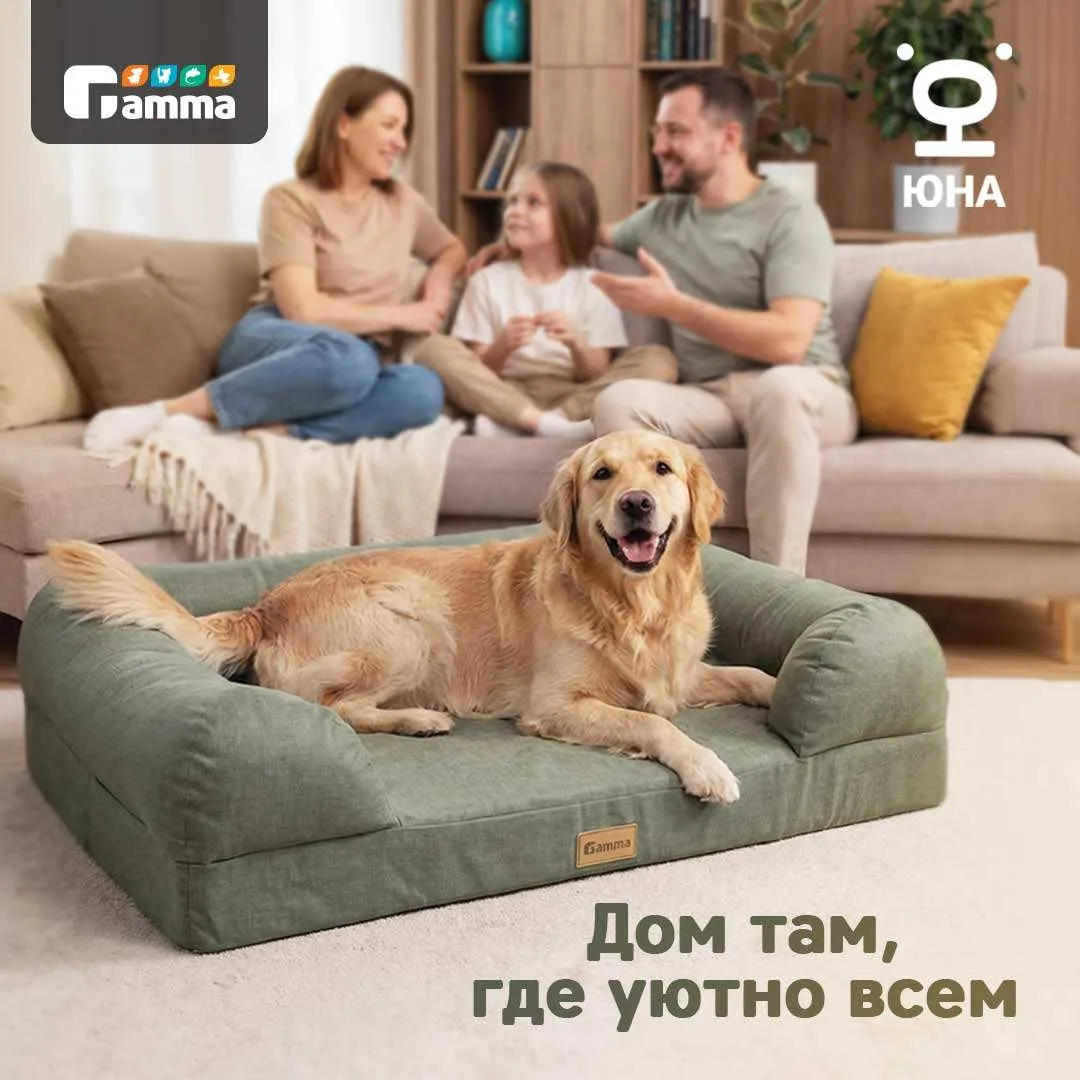 Делаем мир добрее вместе: Gamma х «Юна» 🐾