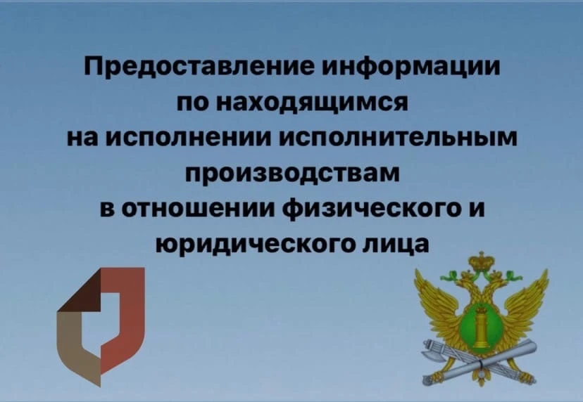 ▶ Предоставление информации по находящимся на исполнении исполнительным производствам в отношении фи