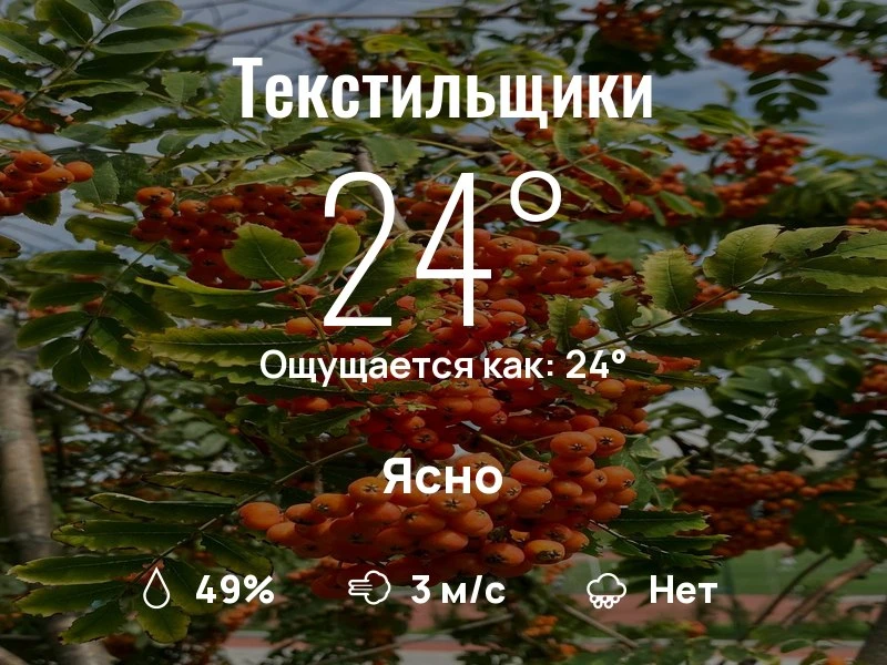 Что с погодой в Текстильщиках?